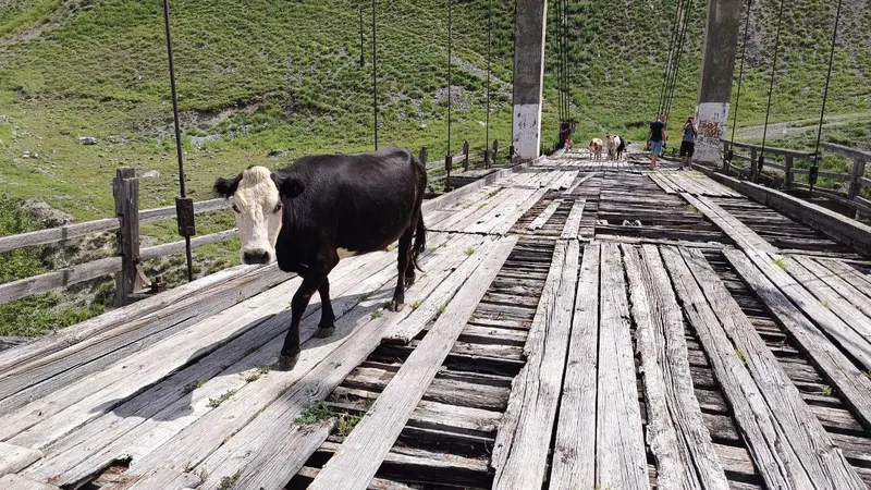 Ночёвка с палаткой на крыше у озера на фоне гор