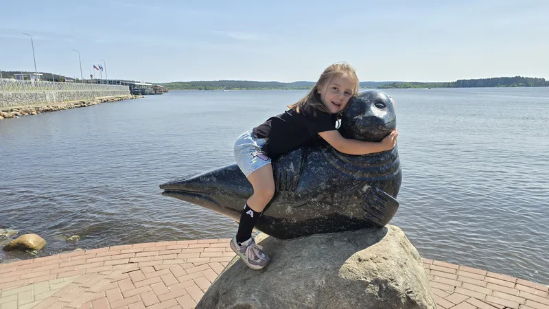 Фото нерпы, Ладожское озеро, Сортавала