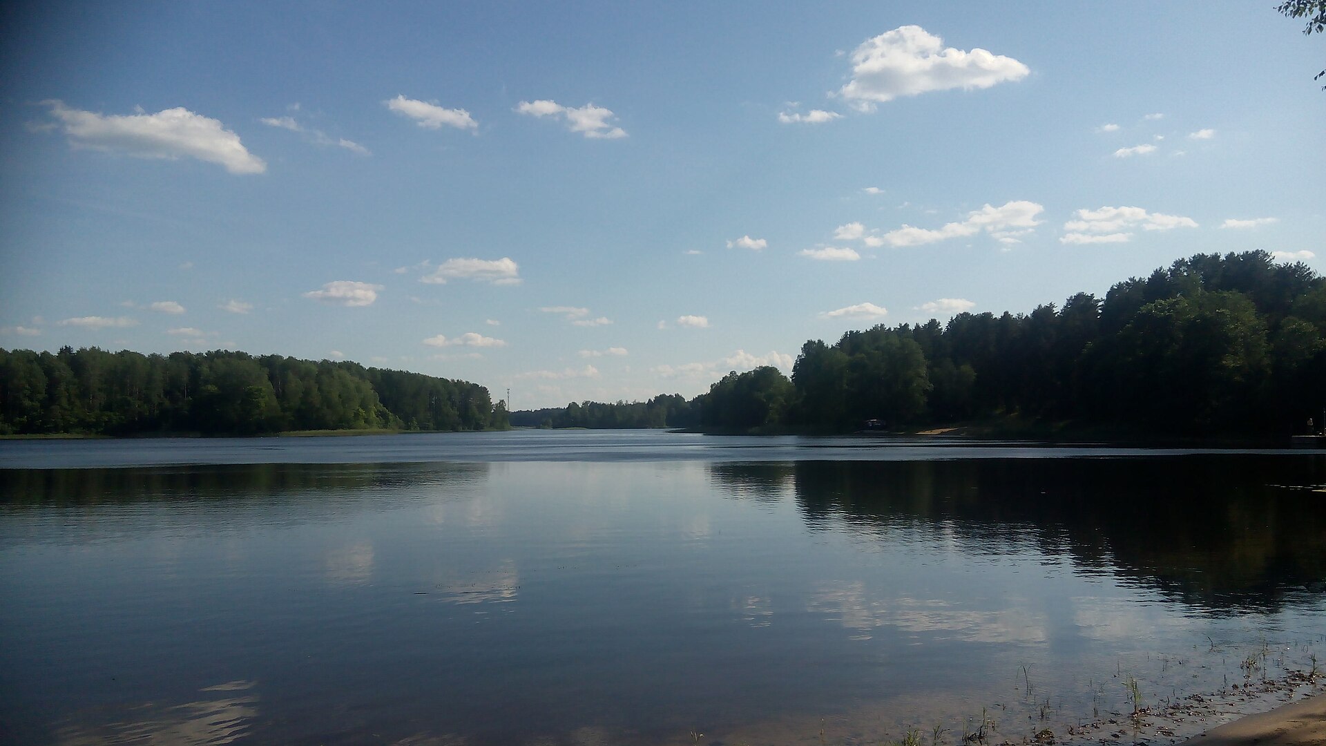 Побережье Селигера, летний день